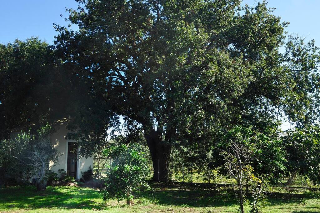Gaia Villa *