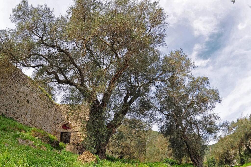 Villa Gaia *